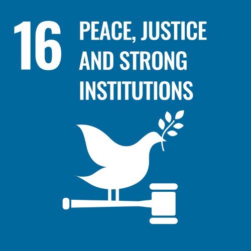 Goal 8: Peace, Justice and Strong Institutions